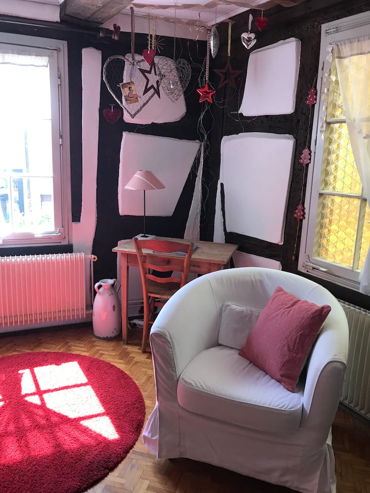 Gite, historical centre of Colmar Apartments for Rent in Colmar
