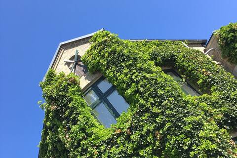 Unique 250sqm villa in the heart of Aarhus!