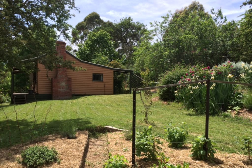 South face of Argie Cottage from the adjacent house veggie patch. Plenty of space between dwellings for your privacy.