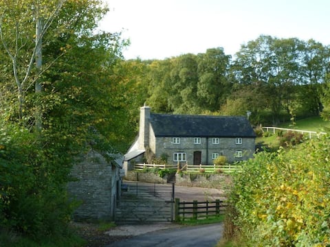 Haybluff Holidays - The Birches Cosy Cottage