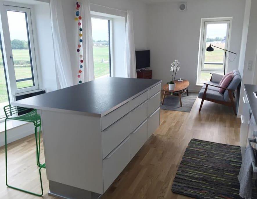 Kitchen/livingroom