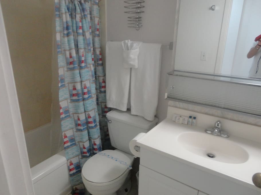 Toilet,Bathroom,Indoors,Room,Furniture