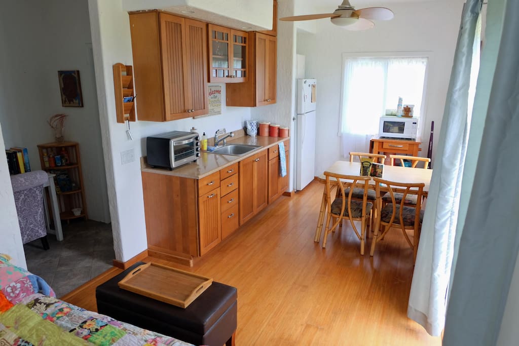 Kitchenette with full-size refrigerator, convection toaster oven, hot plate, and microwave.