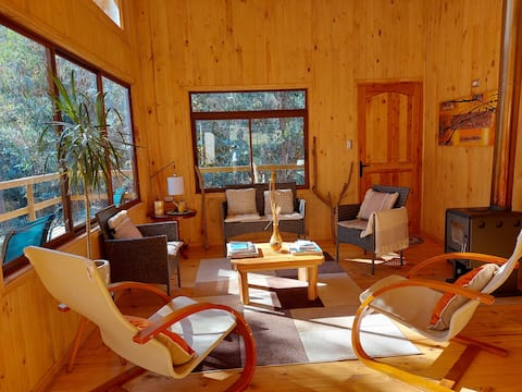 Top performing Airbnb: Large cabin in nature with sauna – Rari in Colbún