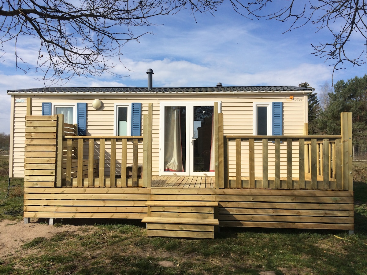 A wooden deck extends from the entrance of the cabin, featuring railings and steps for access. The cabin's exterior is clad in light-colored siding with blue shutters framing the windows, while large glass doors invite natural light inside.
