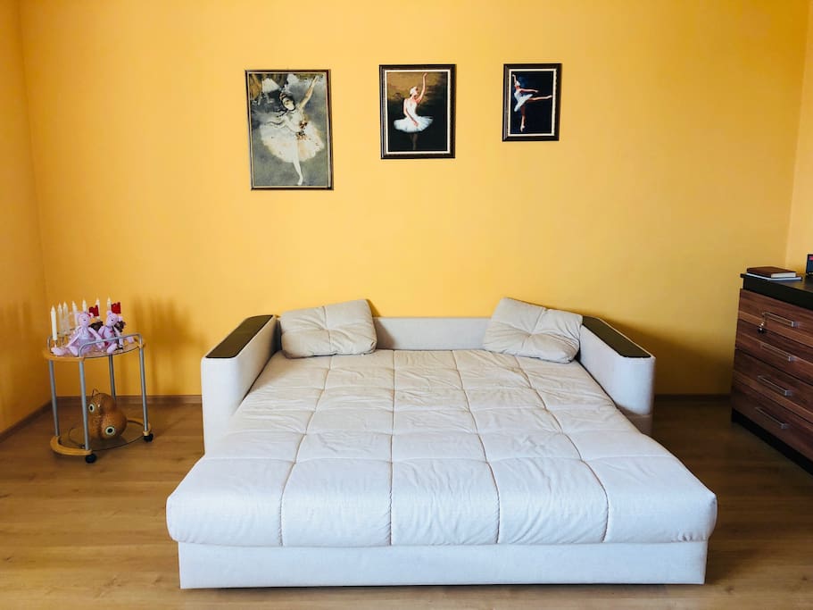 sofa bed measuring 195*210 cm in the unfolded state