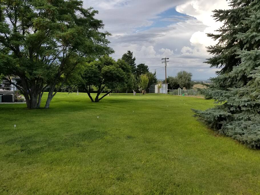 Country View