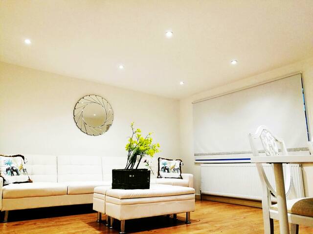 Luxury Large House by London Dockland gallery image 4