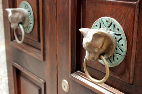 Top Airbnb: I Gatti (Cats) - holidays and / or smartworking a Castagneto Carducci