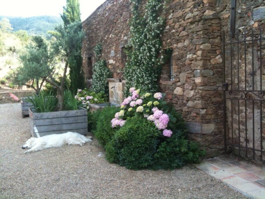 Front entrance to house