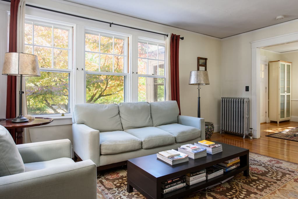 living room w tv and plenty to read
