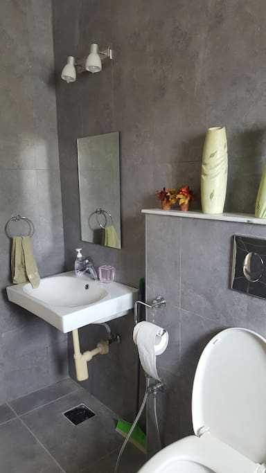 Ensuite bathroom