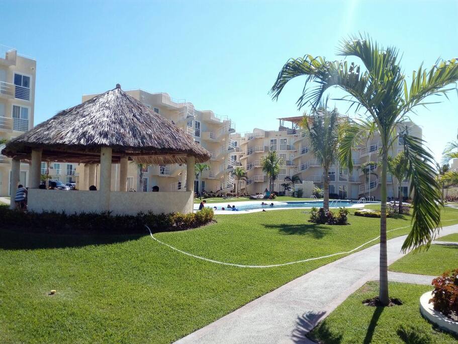 Palapa