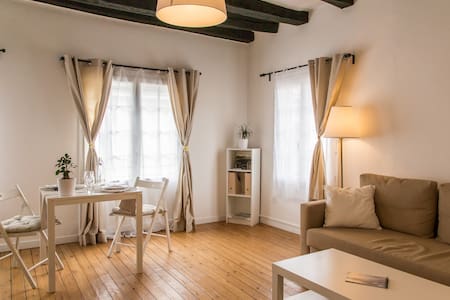 Grand studio, centre historique de Tours.