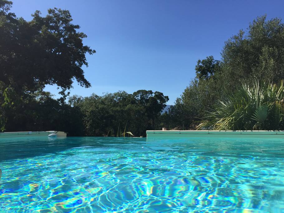 Piscine privée