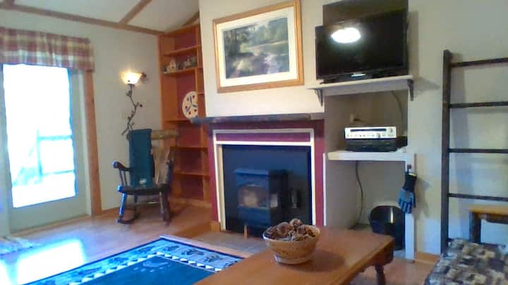 High Cotton Adk Cozy Lake House Near Old Forge - Adirondack Mountains
