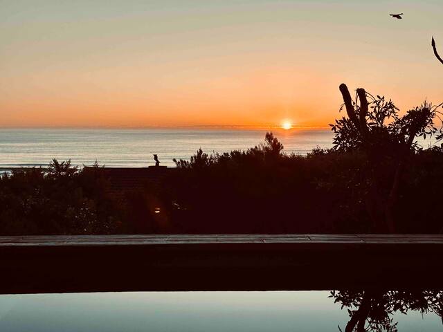 Stunning Scarborough Beach Villa gallery image 5