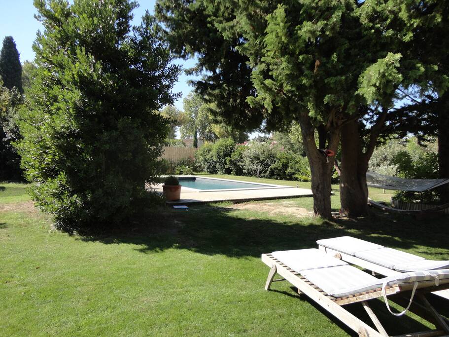 Piscine dans un écrin de verdure