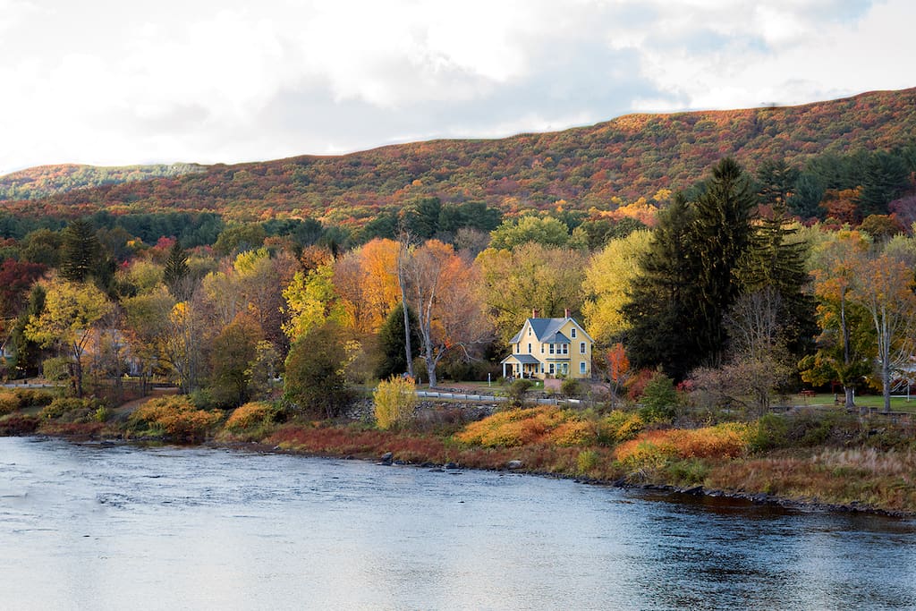 The yellow house
