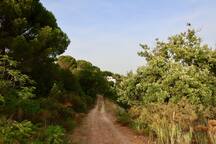 Casa Rosmarino  – Your Southern Italian Retreat