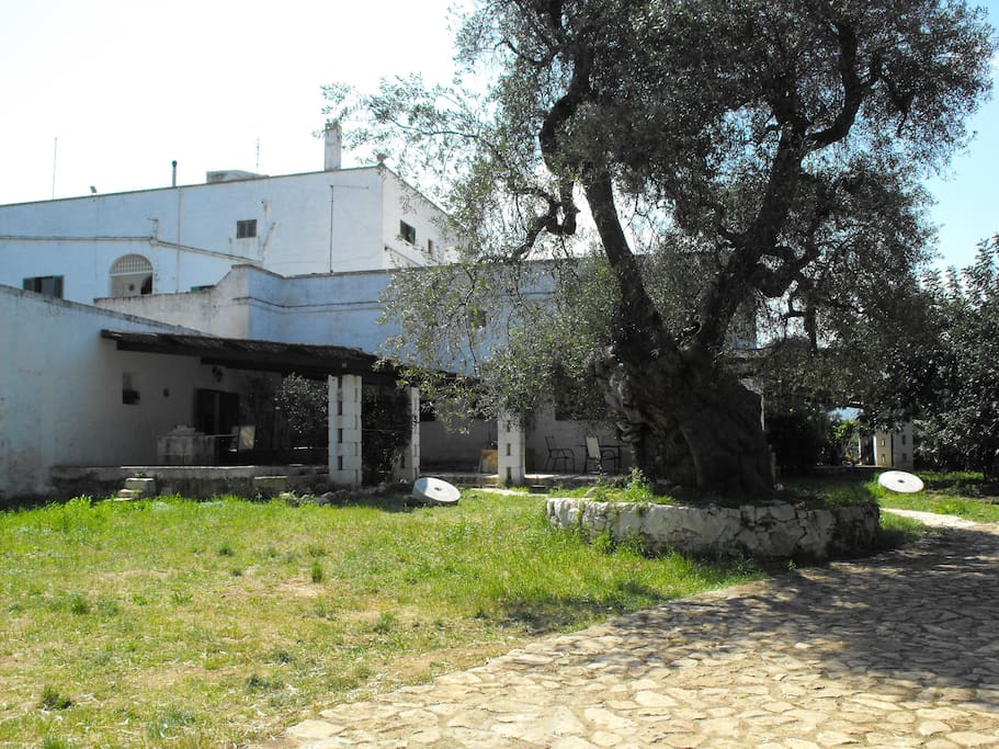 veranda