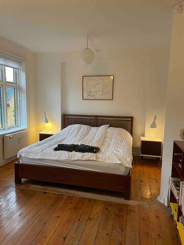 Christianshavn Penthouse gallery image 5