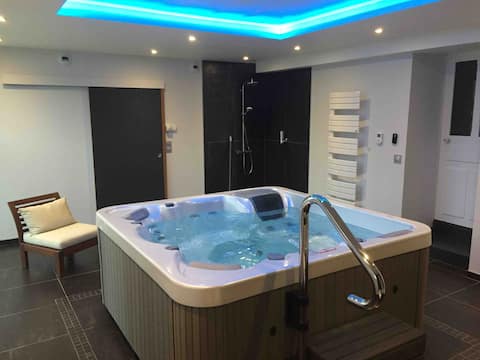 Gite 8 to 14 with spa in Champagne