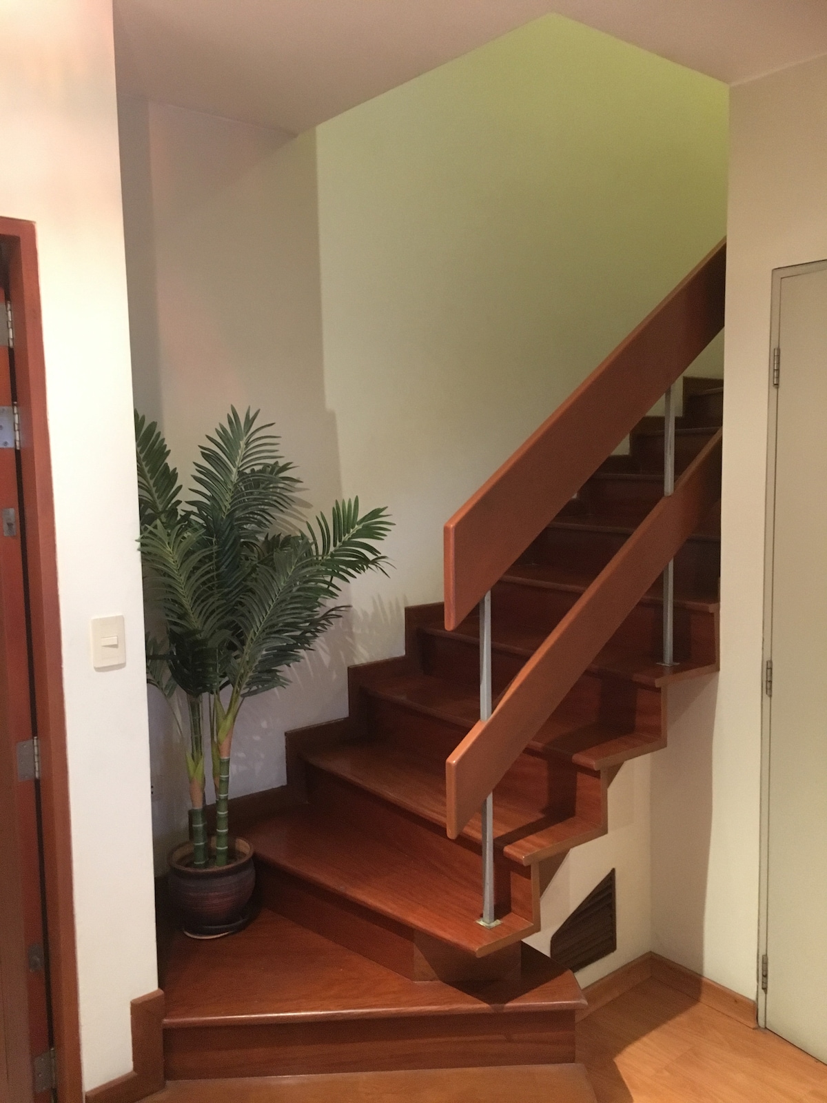 A wooden staircase with a sleek design ascends to the upper level. A potted plant is placed at the base, adding a natural element to the space. The walls are painted in subtle tones, creating a calm and welcoming transition area.