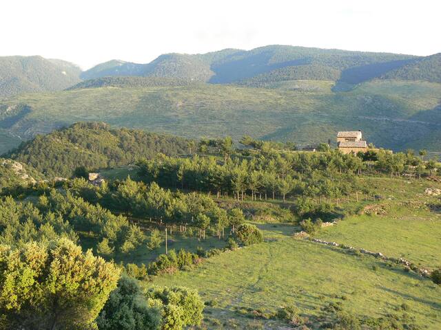 Nature + Sustainability + Tranquility = BUSEU