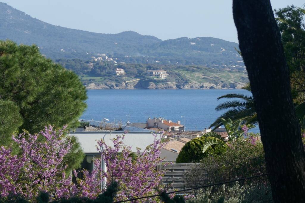 Petite vue mer
