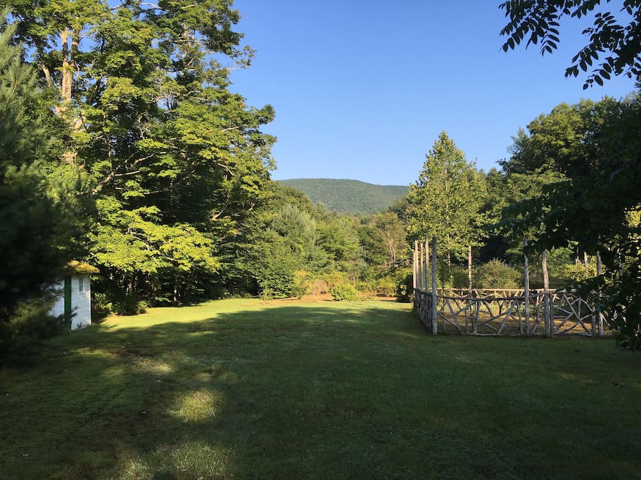 The lower backyard...