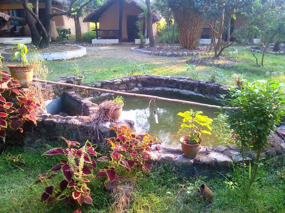 Fish pond.