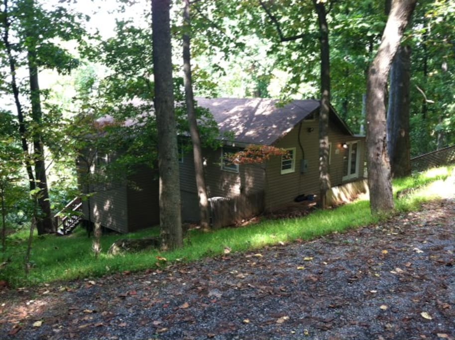 nestled in the woods