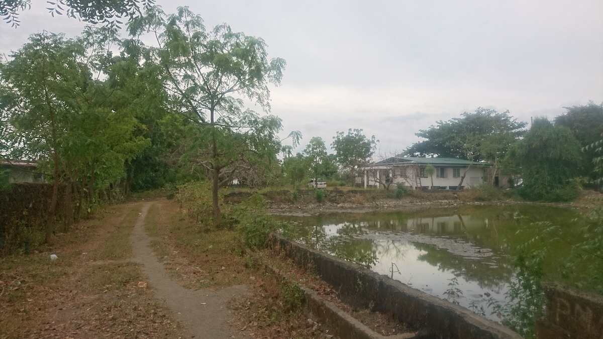 A narrow path meanders alongside a still pond, bordered by trees and overgrown vegetation. In the distance, a single-story building is visible, partially obscured by greenery. The sky appears cloudy, adding a serene ambiance to the natural surroundings.