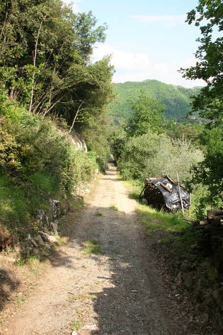 The farm road approach