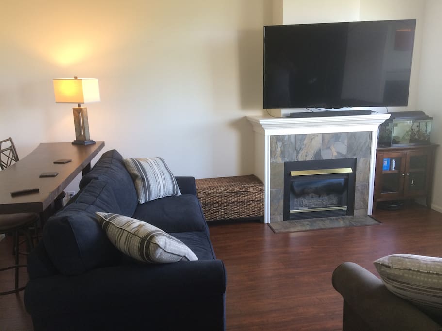 Enjoy your favorite Blu ray or DVD on our 65" tv and sound bar!