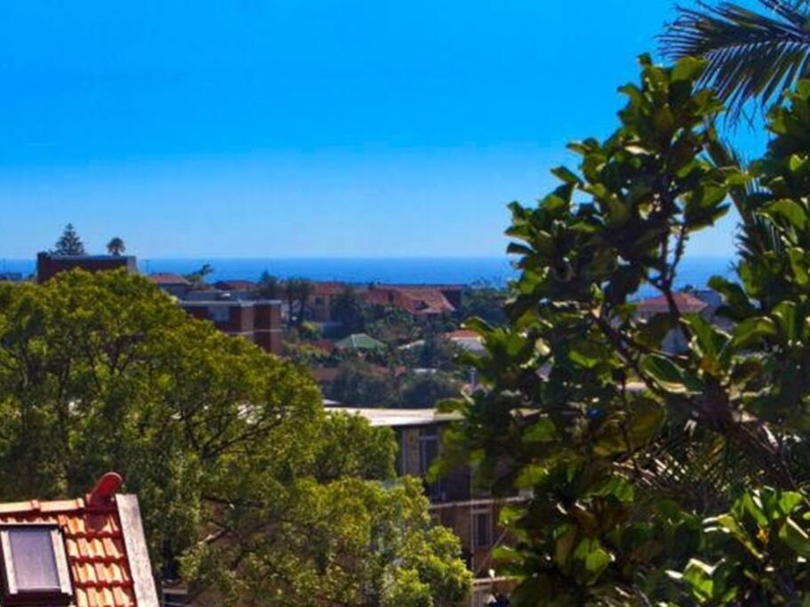 Ocean view from the lounge & kitchen