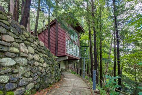 Treehouse in the forest