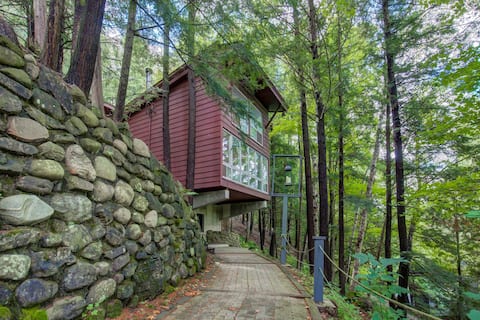 Treehouse in the forest