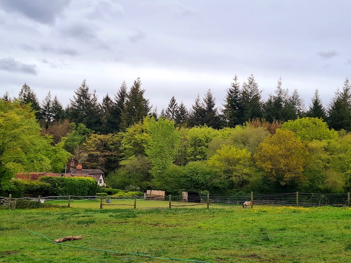 Lyndhurst Holiday Rentals & Homes England, United Kingdom Airbnb