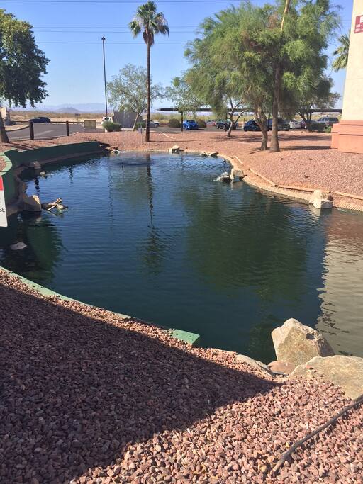 Nice pond and water falls to sit by
