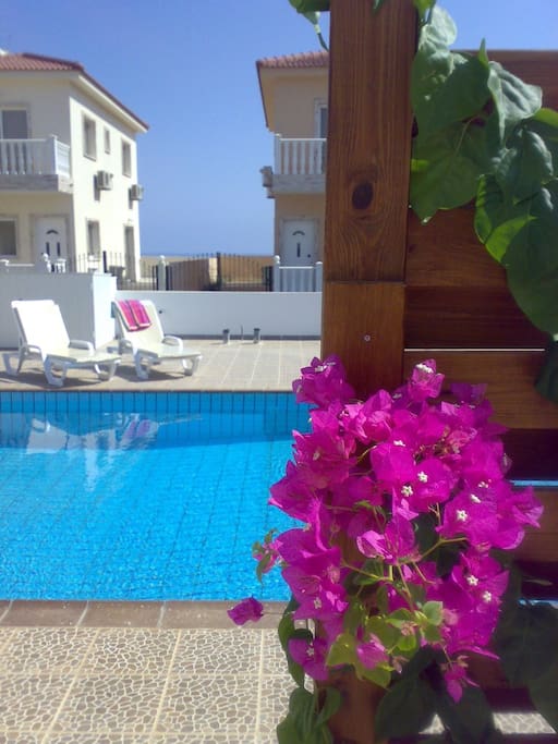 Adjacent Pool
