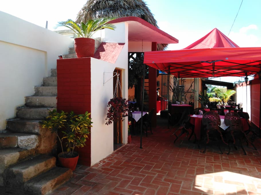 Paladar