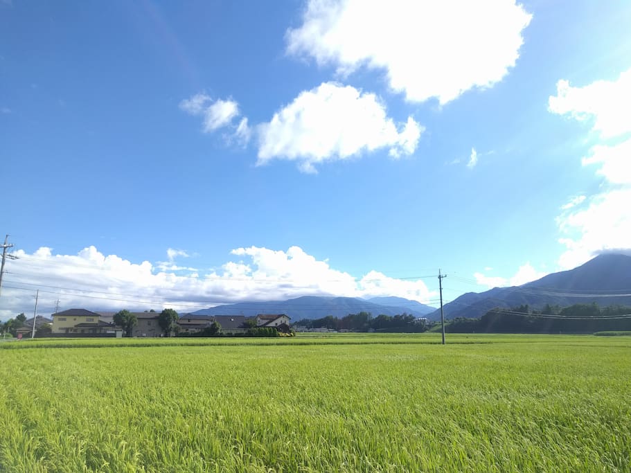家から見える山と田んぼ。のどかです。