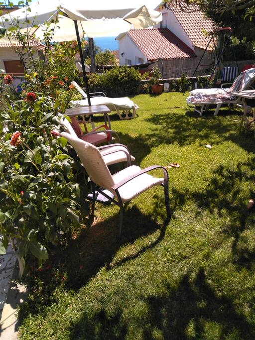 Jardín