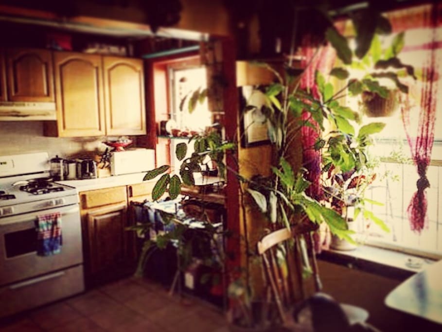 Shared kitchen with all of the cooking supplies you will need.