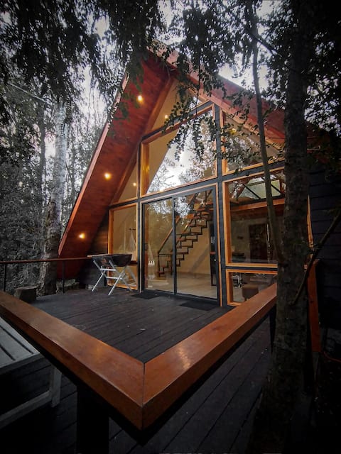 Top performing Airbnb: A cabin for rest and tranquility in Panguipulli