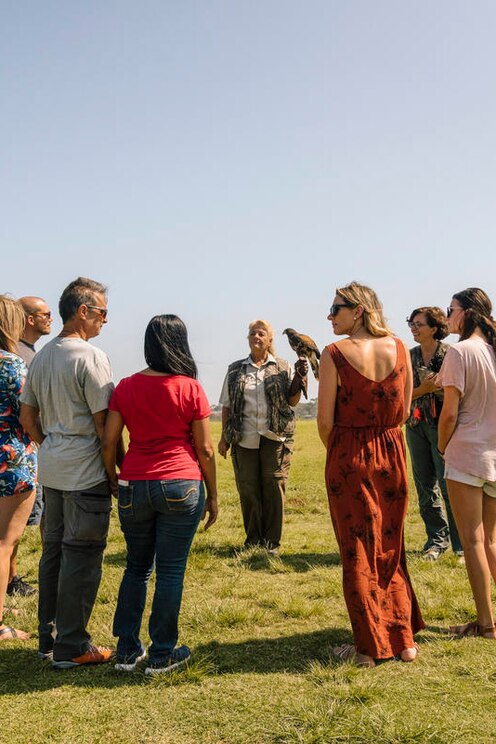 Показать полноэкранное фото от хозяина