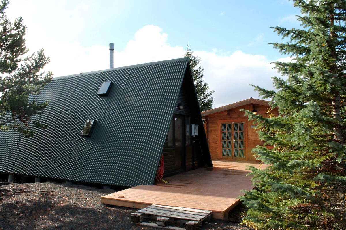 The exterior of two cabins is shown, featuring a modern A-frame cabin with a dark, corrugated metal roof. Nearby, a wooden cabin with large porch doors is visible. Lush evergreen trees surround the cabins, and wooden decking extends from the main entrance.