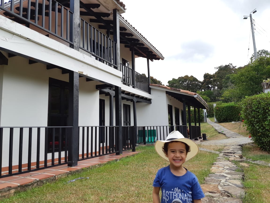 A two-story house is depicted, featuring a covered balcony with wooden railings on both levels. A pathway lined with grass and stones leads up to the structure. Lush green hedges surround the property, enhancing the natural environment.